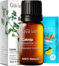 Gya Labs Catnip Essential Oil for Skin - 0.34 Fl Oz - 100% Pure Natural Catnip Oil for Diffuser, Massage & Candle Making Scent-Ruum Studio Home
