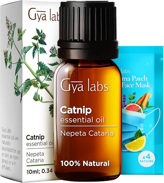 Gya Labs Catnip Essential Oil for Skin - 0.34 Fl Oz - 100% Pure Natural Catnip Oil for Diffuser, Massage & Candle Making Scent-Ruum Studio Home
