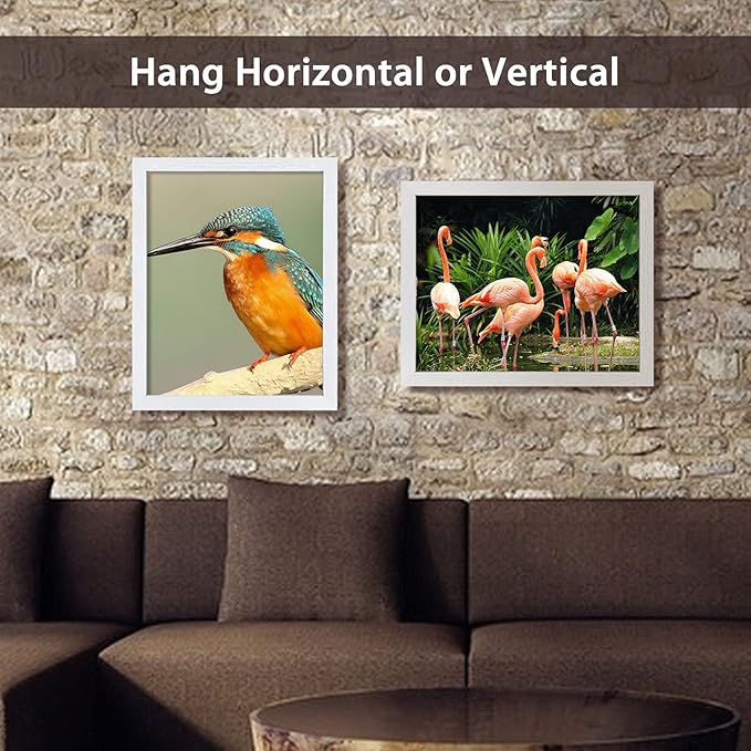VCK 16x20 Poster Frames 3 Pack White MDF Wood and Polished Plexiglass Frame,Display Pictures in Horizontal and Vertical-Ruum Studio Home