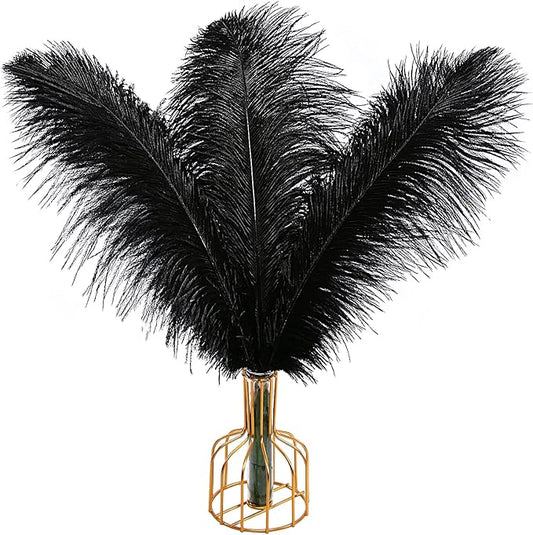 THARAHT Black Ostrich Feathers 12pcs Large Natural Bulk 16-18Inch 40cm-45cm for Wedding Party Centerpieces Halloween and Home Decoration Feathers-Ruum Studio Home