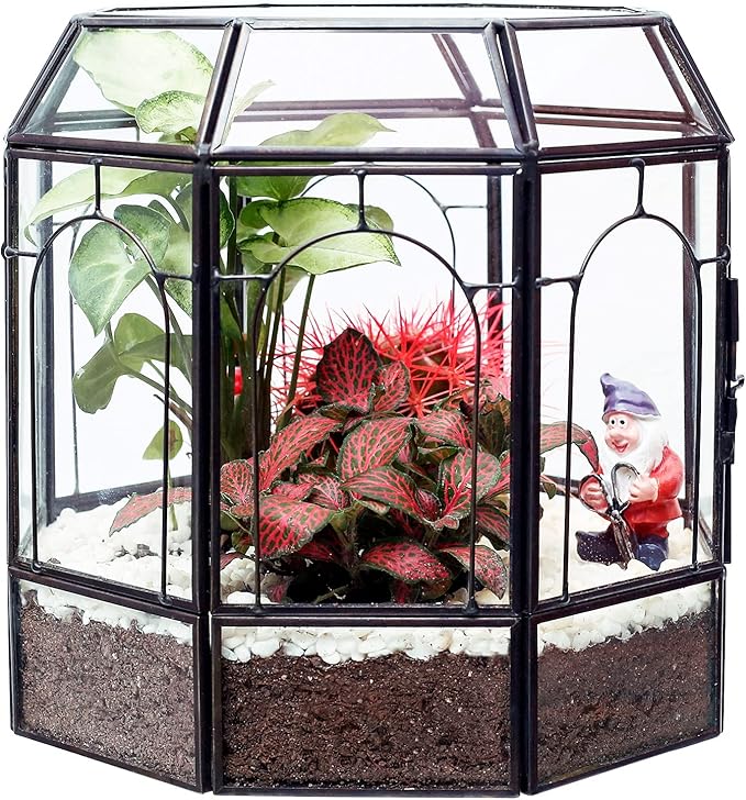 Large Glass Terrarium Handmade, Centerpiece Display Box Gift Planter Containers Indoor Terrariums House for Succulent Cacti Air Plants Miniature Fairy Garden-Ruum Studio Home