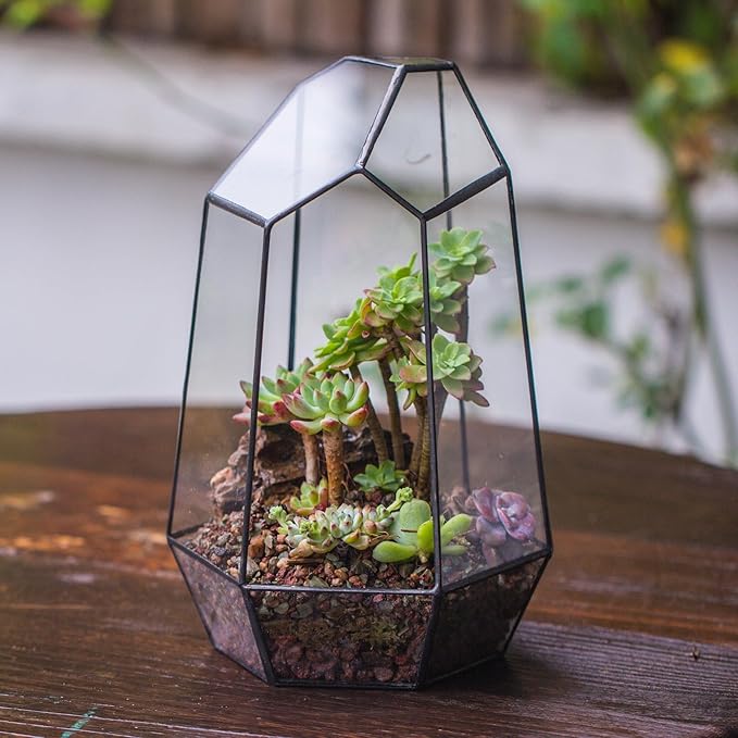 NCYP Geometric Glass Terrarium Planter for Succulent, Small Cacti, Black Irregular Opened Container Pot, Indoor Home Garden Office Tabletop Decor, 6.5" x 5.7" x 9.8" (No Plants, No Door)-Ruum Studio Home
