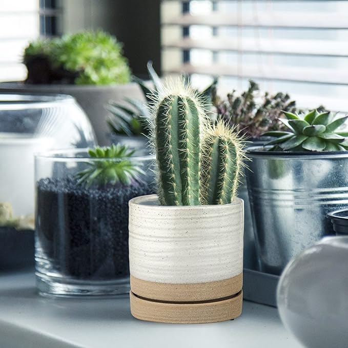 6 Inch Plant Pots, Ceramic Planter Pot with Drainage Hole & Saucer, Indoor/Outdoor Cylinder Round Planter Pot, White & Beige Glaze-Ruum Studio Home