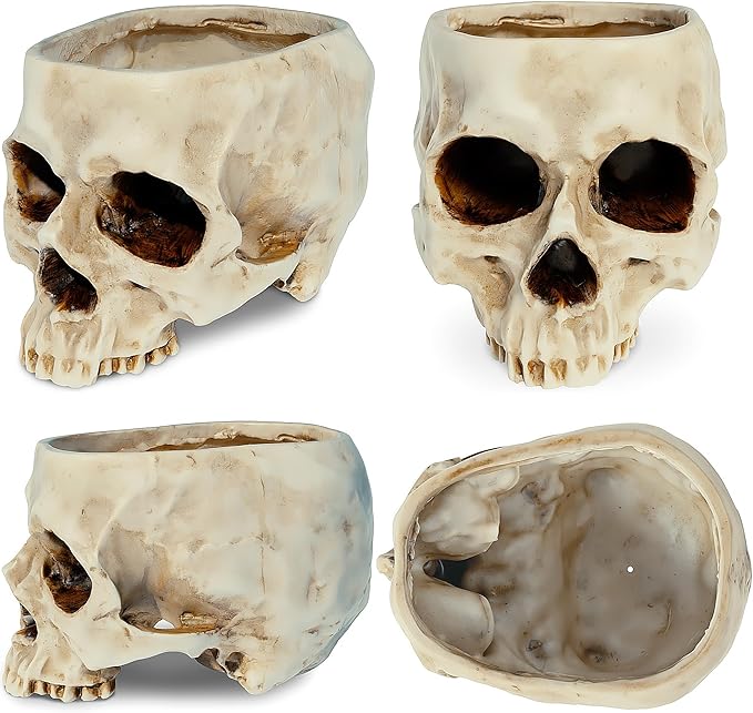 READAEER Skull Planter with Drain Hole, Resin Skull Shaped Flower Pot Candy Bowl, Gothic Decoration for Home Office Desk- White-Ruum Studio Home