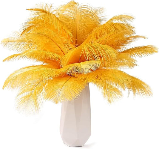 THARAHT Golden Yellow Ostrich Feathers 12pcs Natural Bulk 8-10Inch 20cm-25cm for Crafts Wedding Party Centerpieces Halloween and Home Decoration Feathers-Ruum Studio Home