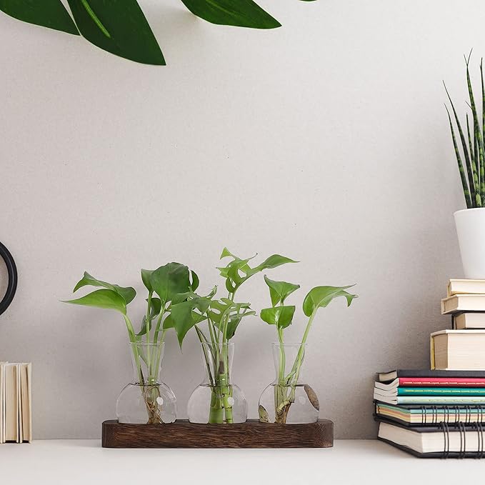 YIBOT Propagation Stations,Plant Propagation Vase,Desk Plant Terrarium with Retro Wooden Stand,Plant Lover Gifts for Women for Hydroponics Plants Home Garden Wedding Decor(3 Vase)-Ruum Studio Home