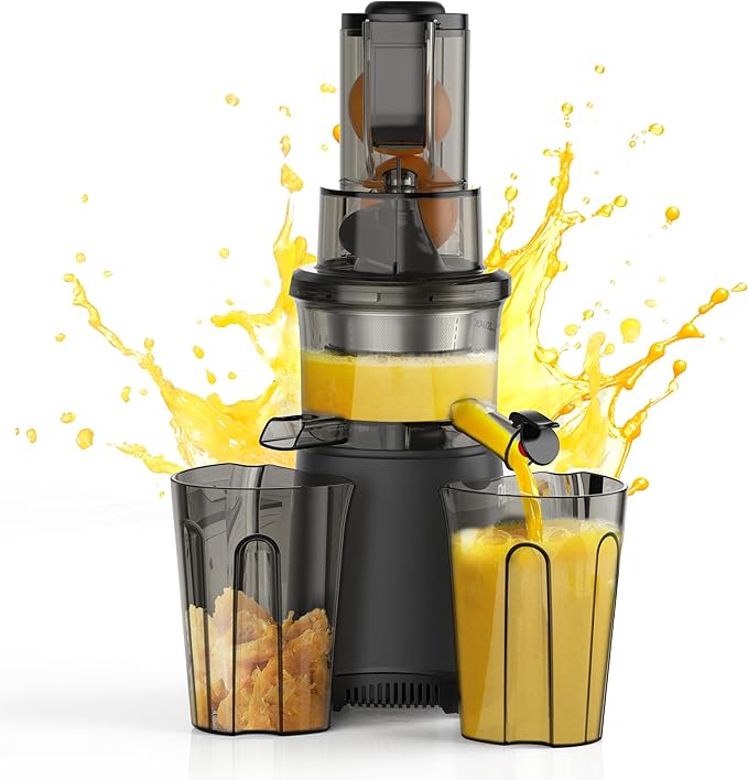 Slow Cold Press Juicer Machines: Masticating Cold Pressed Compact Juicer For Vegetable And Fruit Easy To Clean, Silver Grey-Ruum Studio Home