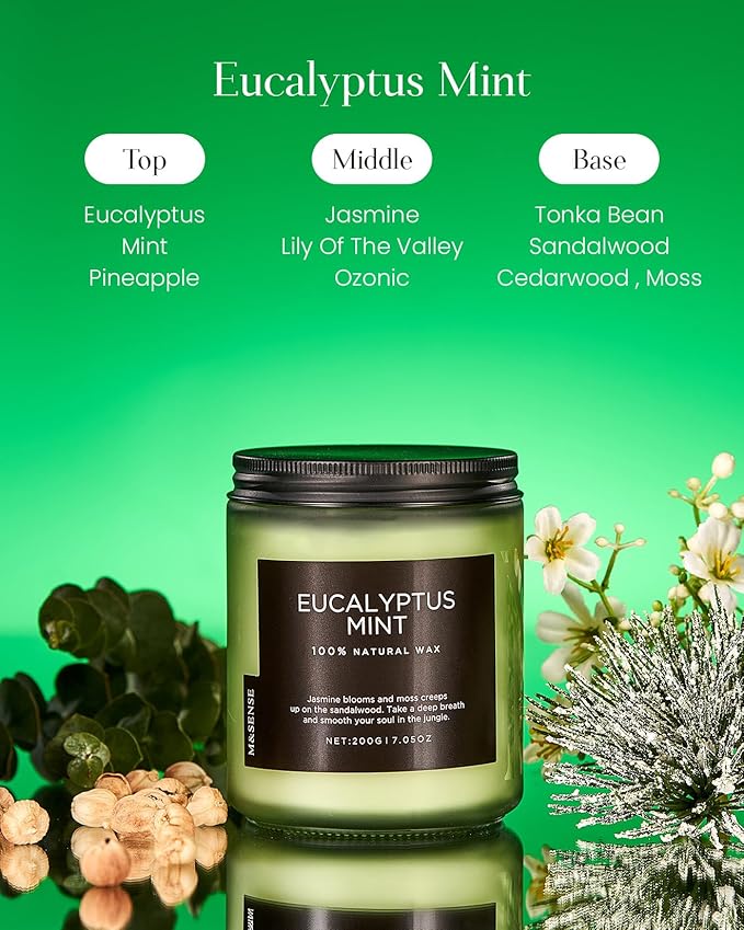 M&SENSE Eucalyptus & Mint Candles for Home Scented, Clean Non Toxic Aromatherapy Candle Gift 7.05oz 50 Hours Burn for Stress Relief Meditation Yoga Relaxing SPA-Ruum Studio Home
