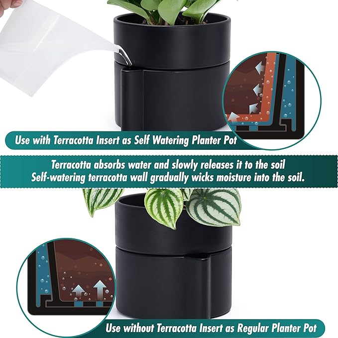 Phoenix Vine 8 Inch Self-Watering Planter Pot with Terracotta Insert, Deep Water Reservoir, and Ceramic-Alike BPA-Free Plastic Planter Pot for Plant, Modern Planter for Houseplants, Black, 53-A-T-2-Ruum Studio Home