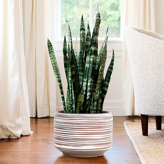 10 Inch Ceramic Plant Pot with Drainage – Large Flower Pot for Indoor Outdoor Plants, Modern Decorative Planter for Patio, Balcony, Garden, or Home Decor-Ruum Studio Home