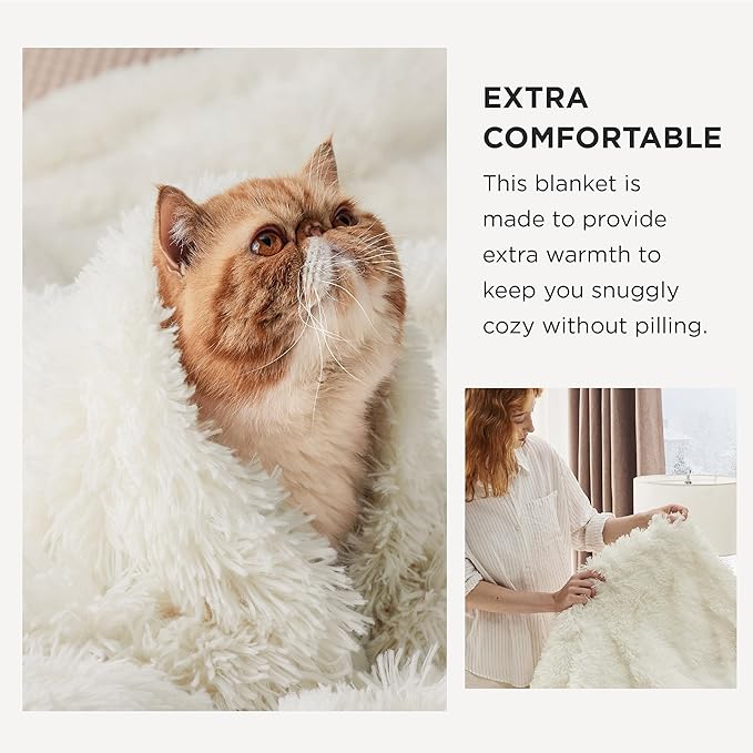 Bedsure GentleSoft Fluffy Cream Blankets Queen Size for Bed, Thick Sherpa Faux Fur Fleece Fuzzy Plush Winter Warm Heavy Soft Full Queen Blankets, Bedroom Decor Cream Gifts Cozy Gifts for Women, 90x90-Ruum Studio Home