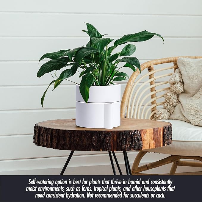 Phoenix Vine 6.5 Inch Self-Watering Planter Pot with Terracotta Insert, Deep Water Reservoir, and Ceramic-Alike BPA-Free Plastic Pot for Plant, Modern Planter for Houseplants, White, 53-A-S-1-Ruum Studio Home