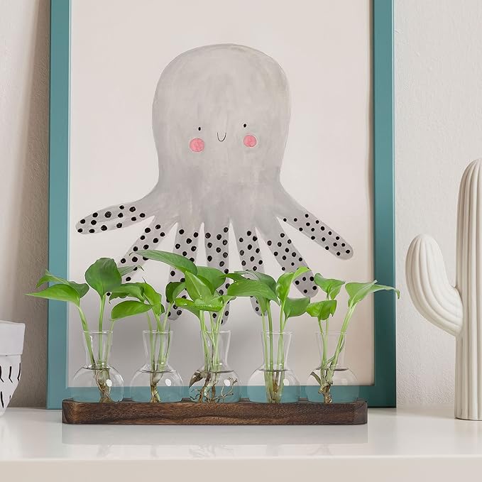 YIBOT Plant Propagation Stations,Glass Propagation Vases for Plants Terrarium with Wooden Tray Plant Lover Gifts for Propagating Hydroponic Plants Home Office Decor(5 Vase)-Ruum Studio Home