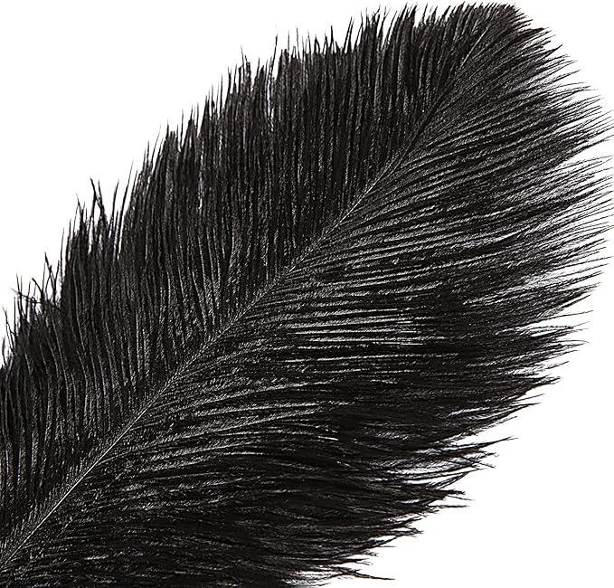 THARAHT Black Ostrich Feathers 12pcs Large Natural Bulk 12-14Inch 30cm-35cm for Wedding Party Centerpieces Halloween and Home Decoration Feathers-Ruum Studio Home
