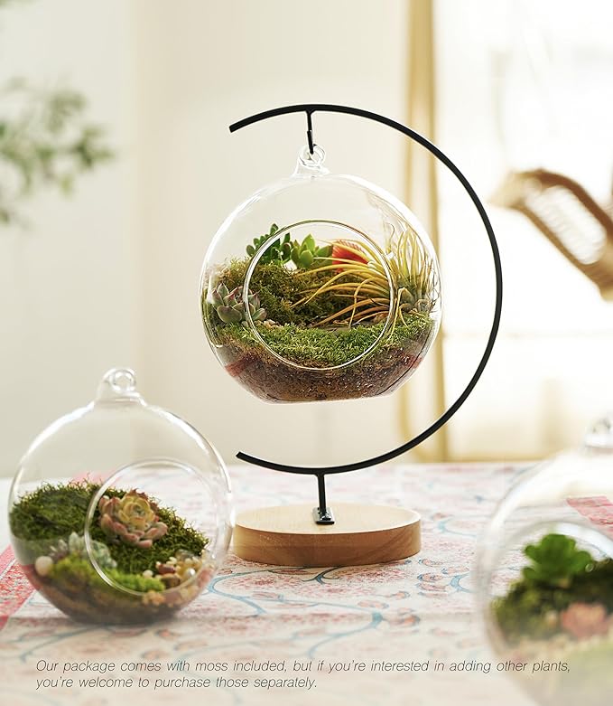 15-Piece Terrarium Kit with Live Moss – DIY Glass Globe Set with Tools, Soil, Stones & Spray Bottle – Indoor Mini Garden Gift for Plant Lovers, Home Decor & Zen Craft-Ruum Studio Home
