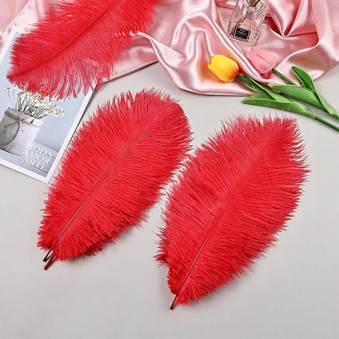 THARAHT Red Ostrich Feathers 12pcs Natural Bulk 8-10Inch 20cm-25cm for Crafts Wedding Party Centerpieces Flower Arrangement Halloween and Home Decoration Feathers-Ruum Studio Home