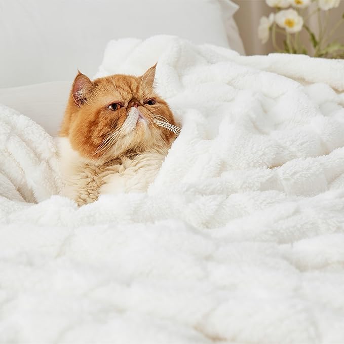 Bedsure GentleSoft Blankets Queen Size for Bed - Super Soft Cozy Blanket for Women Men Girls, Large Fuzzy Fleece Throw for Bedroom Decor, White, 90x90 Inches-Ruum Studio Home