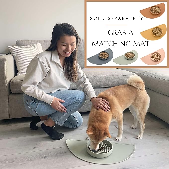 The Slowdown Bowl Silicone Slow Feeder for Cats & Kittens, Slow Eating Mealtime Solution with Lick Modern Mat Design, Reduces Gulping, Fits 1 Cup 6” Across x 1.25” Tall, Small-Terracotta-Ruum Studio Home