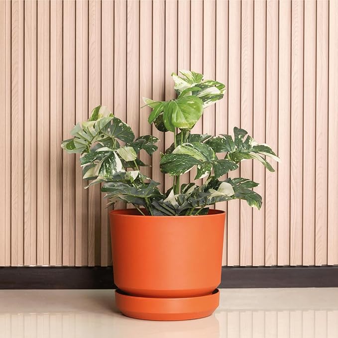 Elly Décor 8 inch Plastic Cylinder Planter Pot with Self-Watering Saucer and Drainage Hole,Lightweight & Extremely Durable, 8"x 8", Terracotta-Ruum Studio Home