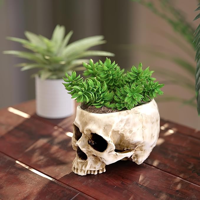 READAEER Skull Planter with Drain Hole, Resin Skull Shaped Flower Pot Candy Bowl, Gothic Decoration for Home Office Desk- White-Ruum Studio Home