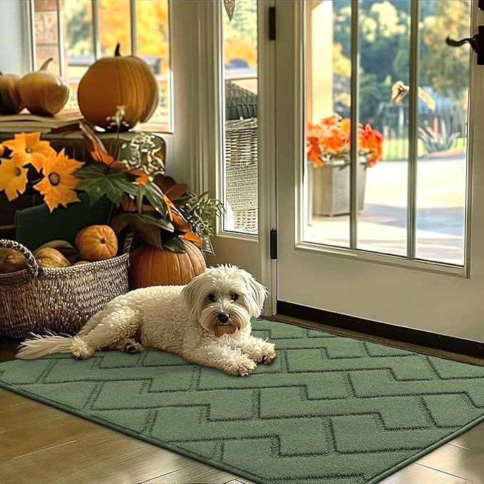 hicorfe Indoor Door Mat,Non Slip Door Mats,32"x48" Front Back Door Mat Rubber Backing,Absorbent Resist Dirt Entrance Inside Floor Mats for Entryway Washable Low-Profile(Green)-Ruum Studio Home