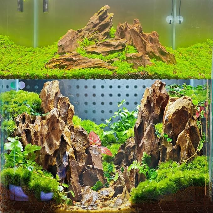 Dragon Rocks Aquarium Rock aquascaping Natural Stone Rocks Fish Tank Decor Rocks for Aquariums Landscaping Model Tank Decoration Aquarium Miniature -20Lb (2-8 inch)-Ruum Studio Home