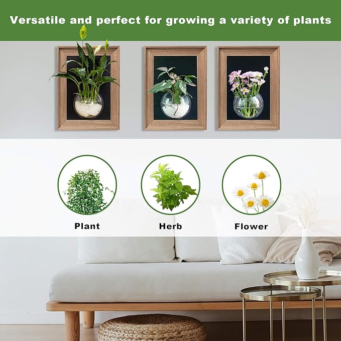 Walnut Wooden Frame Wall Hanging Planter for Hydroponic Plants，12'' x16''inch Wall Vase with Oblate-Shaped Acrylic Propagation Station，Bathroom, Office, or Living Room Decor, Set of 3-Ruum Studio Home
