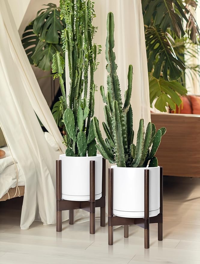 D'vine Dev Ceramic Planter with Walnut Color Stand - 10 Inch Modern Round Flower Pot with Wood Planter Holder, White, 55-B-X-1-Ruum Studio Home
