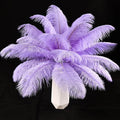 THARAHT Lavender Ostrich Feathers 24pcs Natural Bulk 8-10Inch 20cm-25cm for Crafts Wedding Party Centerpieces Flower Arrangement Easter Gatsbi and Home Decoration Feather-Ruum Studio Home