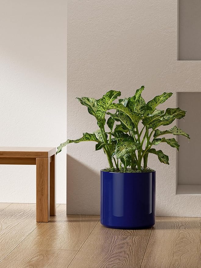 LE TAUCI 12 Inch Pots for Plants, Ceramic Large Plant Pot for Indoor Plants, Mid-Century Modern Flower Planter Pots with Drainage Hole and Removable Plug, Round Planter Pot, Sapphire Blue-Ruum Studio Home
