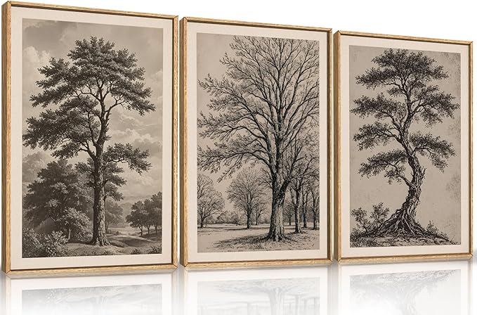 HPINUB Vintage Sketch Tree Framed Canvas Wall Art Set,Modern Nature Botanical Wall Decor, Antique Wilderness Tree Artwork,Minimalist Neutral Art Prints for Living Room,Bedroom,Farmhouse-24 x36 x3-Ruum Studio Home