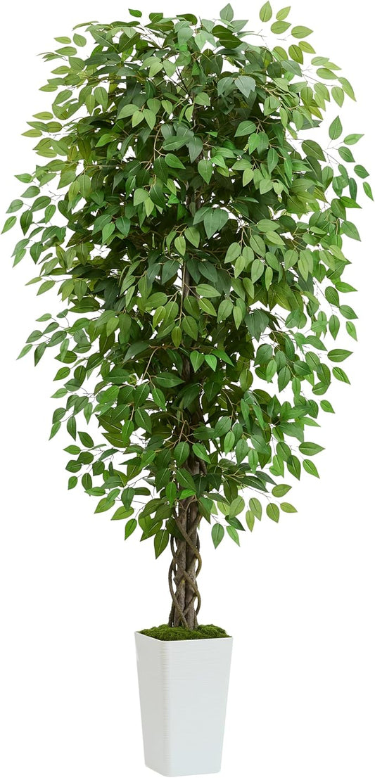 Artificial Ficus Tree 6FT Faux Plants Indoor Tall Fake Plants with White Planter, Green Lifelike Lush Fake Ficus Tree for Home Living Room Bedroom Outdoor Balcony House Office Decor-Ruum Studio Home