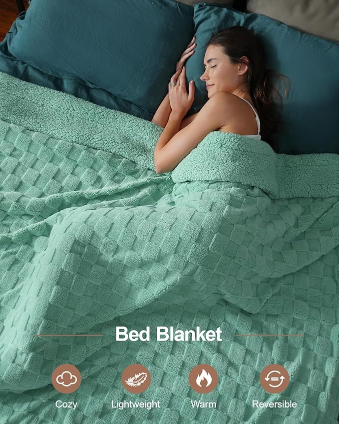 Pawque Super Soft Cozy Throw Blanket Queen Size for Couch Bed, Fluffy Sherpa Fleece Reversible Thick Warm Fuzzy Blanket for All-Season, 3D Checkered Jacquard Decorative Blankets, Sage Green, 90"x90"-Ruum Studio Home