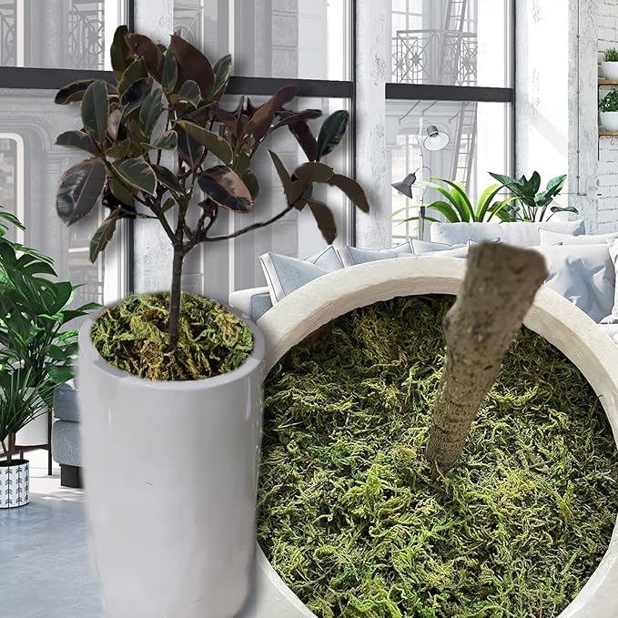 35 OZ Fake Moss for Potted Plants Artificial Moss for Fake Plants Faux Moss for Planters Decorative Moss for Craft and Home Decor…-Ruum Studio Home