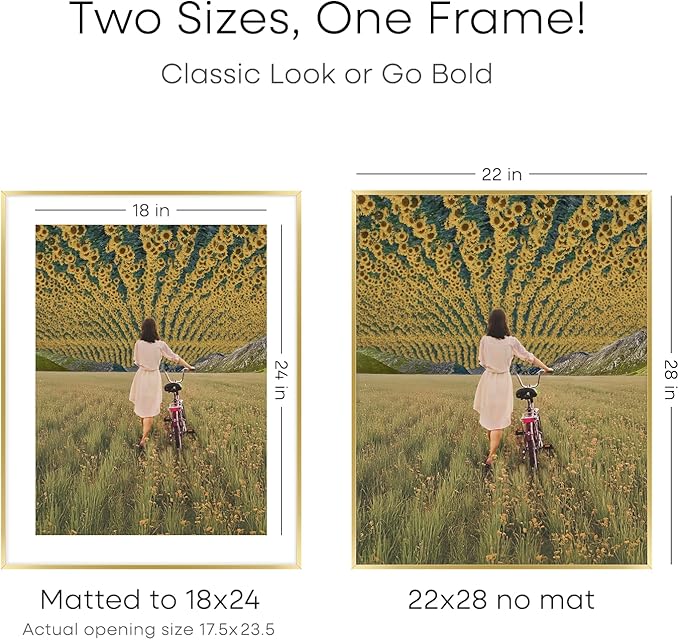 Homeforia 22x28 Picture Frame Gold, High End Metal 22 x 28 Large Poster Frames with Mat 18 by 24 for Photo, 22x28 Gold Frame Matted to 18x24 inch Print, 28x22 Frame, Tempered Glass, Wall Kit, Set of 1-Ruum Studio Home