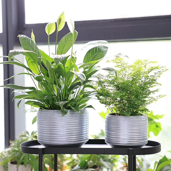 8 Inch + 6 Inch Ceramic Plant Pots Indoor with Drainage – Flower Pot Set, Decorative Indoor Planters for House Plants and Garden Use-Ruum Studio Home