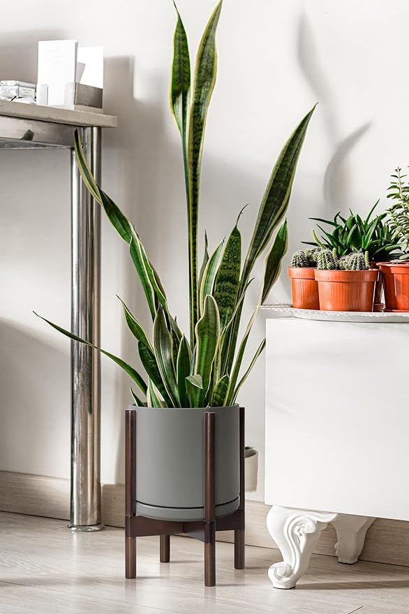 D'vine Dev Ceramic Planter with Walnut Color Stand - 10 Inch Modern Round Flower Pot with Wood Planter Holder, Grey, 55-B-X-3-Ruum Studio Home