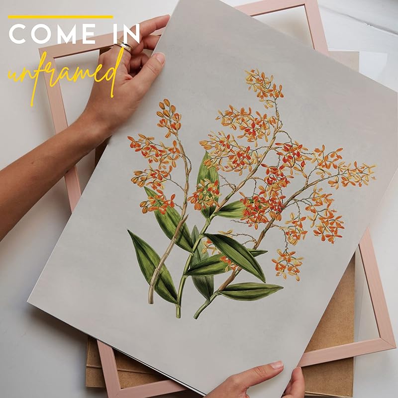 Set Of 9 French Country Prints Wall Decor - Landscape Wall Art French Country Decor, Vintage Wall Decor Gallery Wall Art, Large Bathroom Art Prints, Farmhouse Floral Vintage Art(11X14 IN UNFRAMED)-Ruum Studio Home