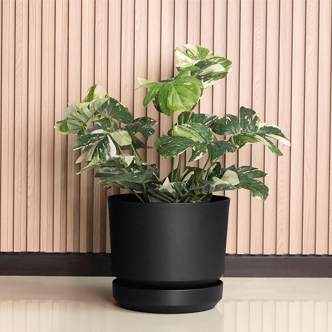 Elly Décor 8 inch Plastic Cylinder Planter Pot with Self-Watering Saucer and Drainage Hole,Lightweight & Extremely Durable, 8"x 8", Black-Ruum Studio Home