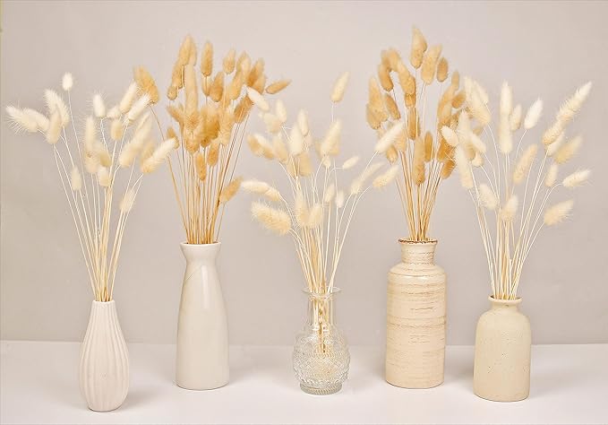 120 PCS Bunny Tails Dried Flowers, Dried Pampas Grass Bouquet, Boho Table Decor, White Pampas Grass Small, Dried Bunny Tails, Pampas Grass for Wedding, Home, Rustic Party, Baby Shower Decorations-Ruum Studio Home
