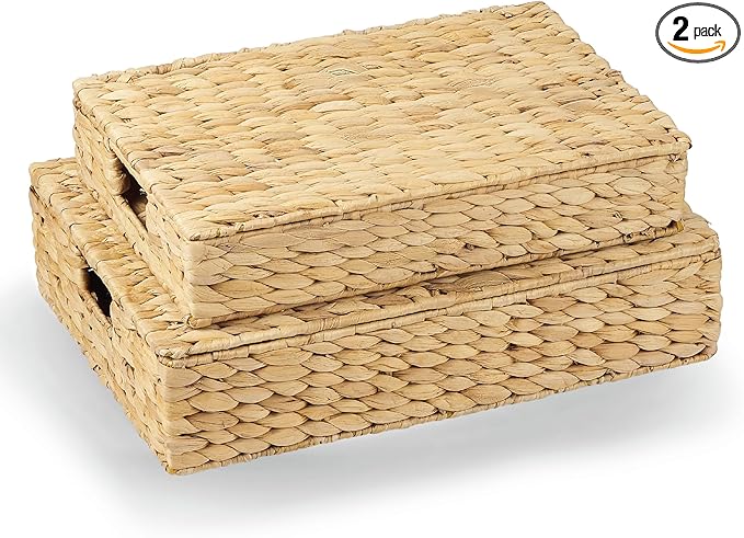 Set of 2 Wicker Baskets with Lid for Organizing - Decorative Storage Boxes With Lids for Home Decor, Shelves - Organic Modern Home Decor - Remote Box - Coffee Table Basket-Ruum Studio Home