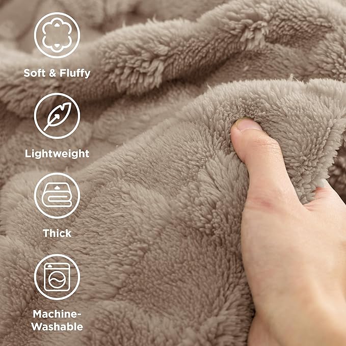 Bedsure GentleSoft Full Size Blankets for Bed Light Taupe - Super Soft Cozy Fleece Blanket for Women Men Girls, Large Fuzzy Throws for Bedroom Decor, 84x90 Inches-Ruum Studio Home