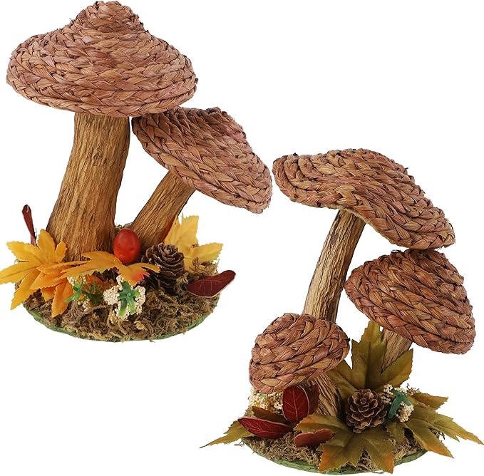 winemana 2 Pack Mushroom Fall Decor - Handmade Woven Mushrooms Figurines, Rustic Farmhouse Table Centerpieces for Thanksgiving, Autumn Home, Shelf & Kitchen Decor-Ruum Studio Home