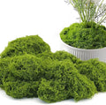Potanro Faux Green Moss 5.3oz Artificial Fake Plant Moss Preserved Moss for Potted Plants Indoor Plants, Crafts, Planters, Bonsai Artifcial, DlY Floral Decorative Moss, Garden Wedding Decor-Ruum Studio Home