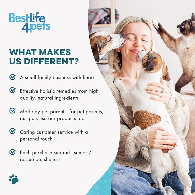 Cat Bad Breath & Oral Health Remedy, Natural Dental Care Cats Teeth, Mouth and Gums, Easy to Use Daily Supplement for Stomatitis, Gingivitis, Plaque & Tartar Control for Cats, 800 Small Pills-Ruum Studio Home