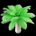 THARAHT Green Ostrich Feathers 24pcs Natural Bulk 8-10Inch 20cm-25cm for Crafts Wedding Party Centerpieces Mardi Gras and Home Decoration Feathers-Ruum Studio Home