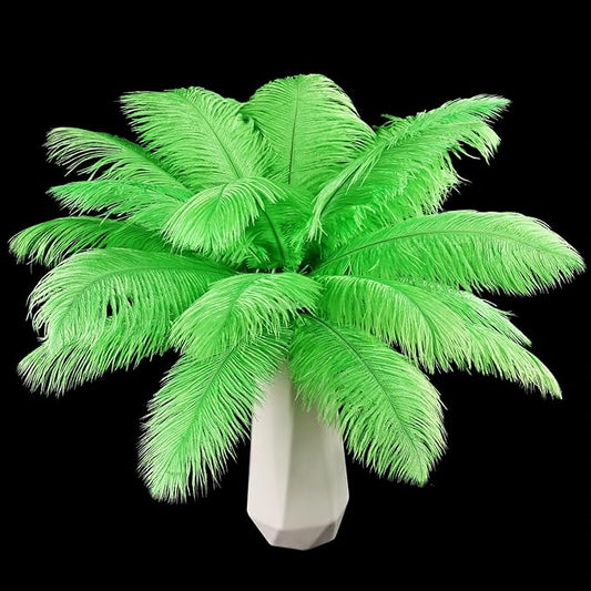 THARAHT Green Ostrich Feathers 12pcs Natural Bulk 10-12Inch 25cm-30cm for Crafts Wedding Party Centerpieces Mardi Gras and Home Decoration Feathers-Ruum Studio Home