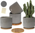 TAMAYKIM 5.25 Inch Ceramic Plant Pots with Drainage Holes and Saucers, Modern Flower Pots with Trays for Indoor Planters, Snake Plant, Succulent, Cactus and Herbs, Set of 4-Ruum Studio Home