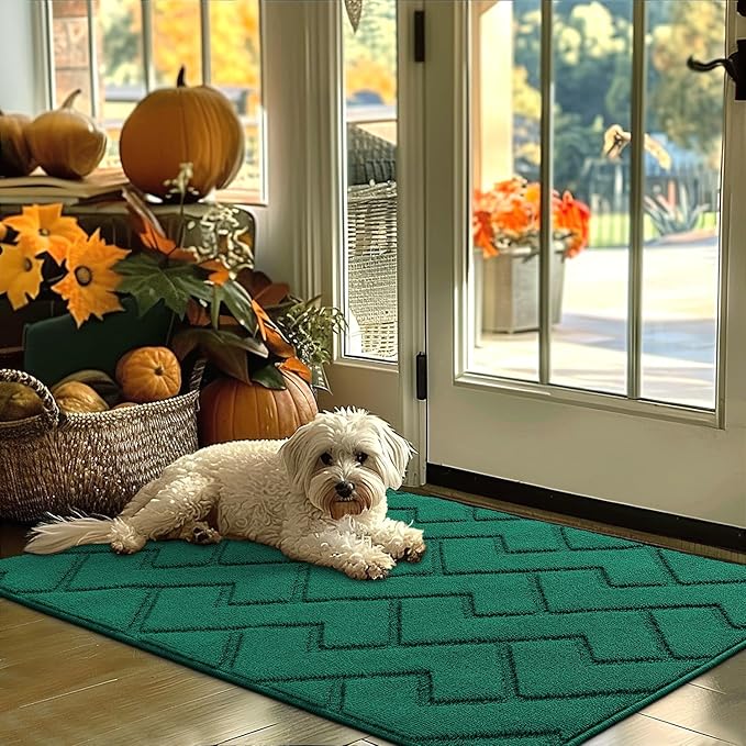 hicorfe Indoor Door Mat,Non Slip Door Mats,32"x48" Front Back Door Mat Rubber Backing,Absorbent Resist Dirt Entrance Inside Floor Mats for Entryway Washable Low-Profile(Evergreen)-Ruum Studio Home