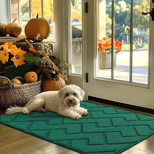 hicorfe Indoor Door Mat,Non Slip Door Mats,32"x48" Front Back Door Mat Rubber Backing,Absorbent Resist Dirt Entrance Inside Floor Mats for Entryway Washable Low-Profile(Evergreen)-Ruum Studio Home